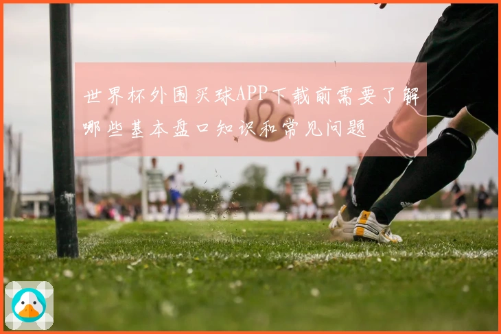 世界杯外围买球APP下载前需要了解哪些基本盘口知识和常见问题