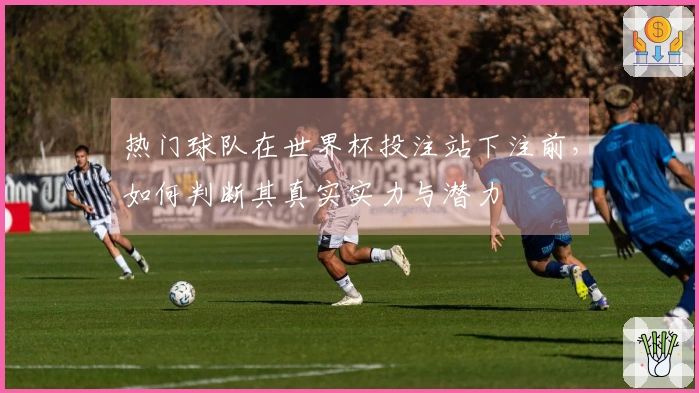 热门球队在世界杯投注站下注前，如何判断其真实实力与潜力