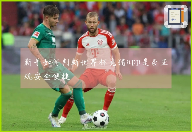 雷速体育资讯文章配图