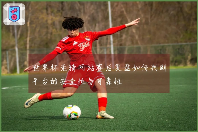 世界杯竞猜网站赛后复盘如何判断平台的安全性与可靠性